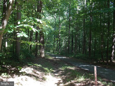 0 Lime Kiln Rd unit VALO386896, Middleburg, VA 20117 - photo 6