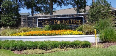 11404 Weston Course Loop, Riverview, FL 33579 - photo 3