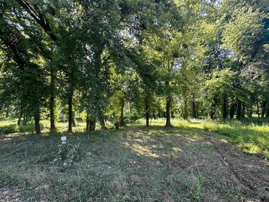 View of nature