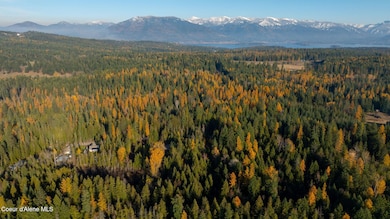 9816 Bottle Bay Rd, Sagle, ID 83860 - photo 6