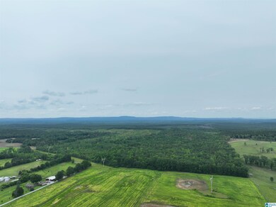 0 Jackson Farm Rd unit 21420738, Wilsonville, AL 35186 - photo 5