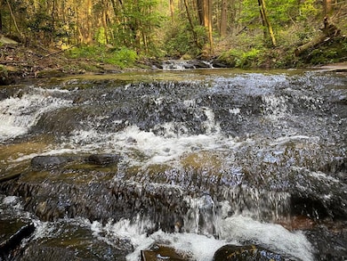 2151 Old Northcutt Rd, Ellijay, GA 30536 - photo 3