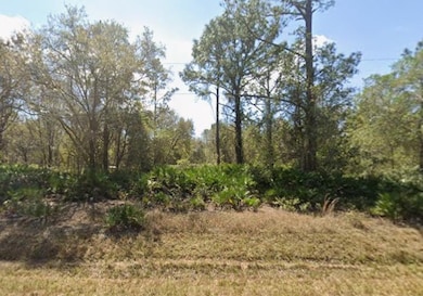 431 Carteret Rd, Georgetown, FL 32139 - photo 2