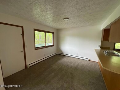 5860 E Pilgrim Ct unit 3, Wasilla, AK 99654 - photo 4