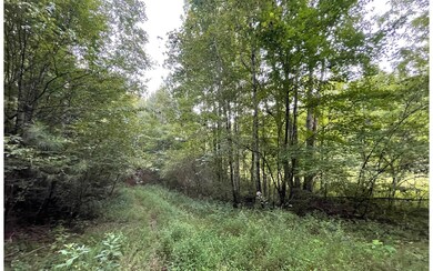 Additional View