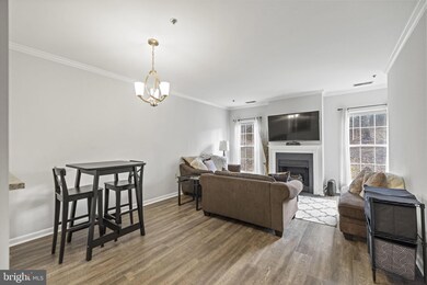 The Pavillion unit 103, Falls Church, VA 22043 - photo 5