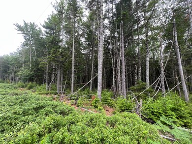 Lot 3 Bluff Rd Bar Harbor 9