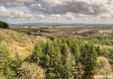 20980 SW Vineyard Ln, Mc Minnville, OR 97128 - photo 7