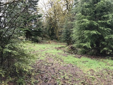 0 Robertson Rd unit 18230980, Longview, WA 98632 - photo 7