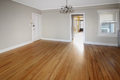 125 N Addison Ave unit 3, Elmhurst, IL 60126 - photo 6