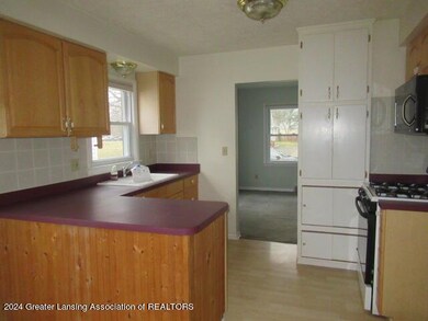 517 Dunlap St, Lansing, MI 48910 - photo 4