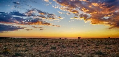 20200916_181911-HDR