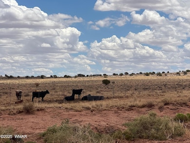 8400 N Terry Trail, Snowflake, AZ 85937 - photo 5