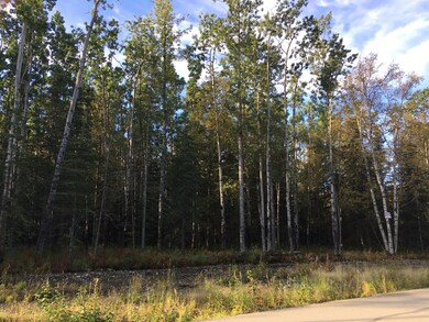 McDowell Photo 5