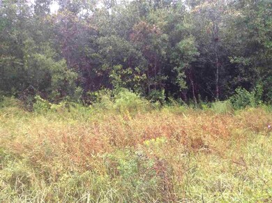 3200 Highway 297a, Cantonment, FL 32533 - photo 4