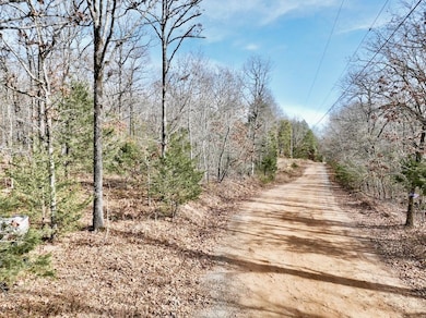 Tbd Old Cabin Rd Lot unit WP001, Winslow, AR 72959 - photo 2