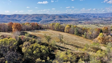 3025 Broad Run Rd, Sinks Grove, WV 24976 - photo 3