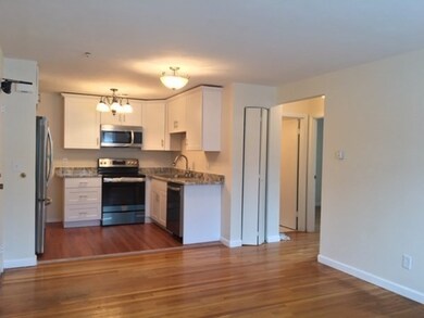 50 Carey Ave unit 5, Watertown, MA 02472 - photo 3