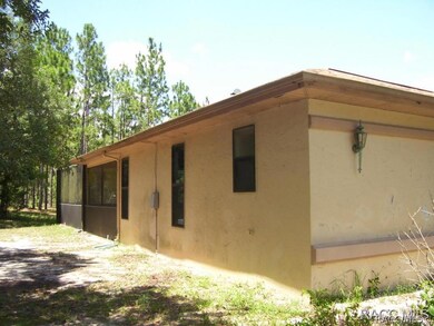 Left Side View