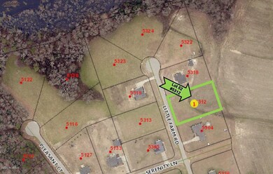 Aerial Pic