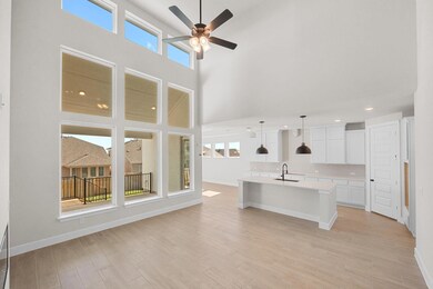 138 Ash Juniper Rd, Georgetown, TX 78633 - photo 4