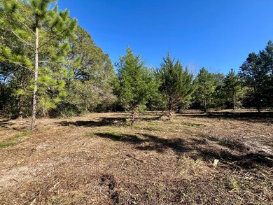 0 Washington Ave, Fitzgerald, GA 31750 - photo 7