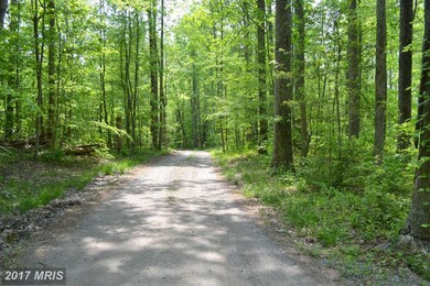 7024 Antler Ln, King George, VA 22485 - photo 2