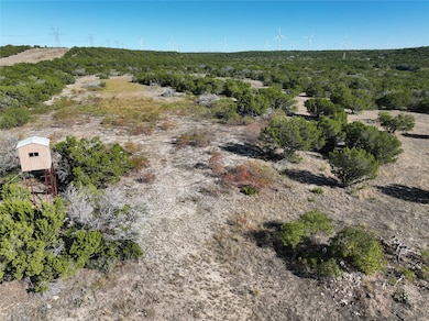TBD Cr 194 Rd, Tuscola, TX 79562 - photo 3