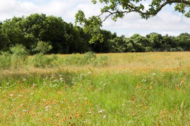 Lot 1 Old Vine unit 1, Fredericksburg, TX 78624 - photo 4