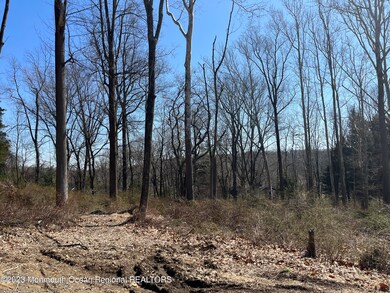 86-1 Douglass Ave, Bernardsville, NJ 07924 - photo 3