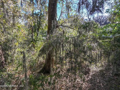 0 Sorensen Terrace unit 2118632, Fernandina Beach, FL 32034 - photo 6