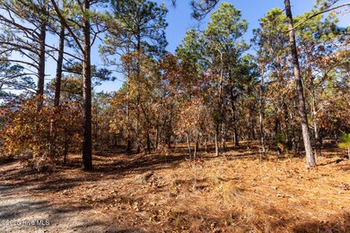 465 Roundabout Rd, Carthage, NC 28327 - photo 3