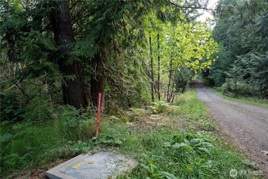 0 E Passage View Rd unit NWM2457101, Shelton, WA 98584 - photo 2