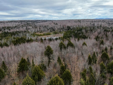 Lot 96 Freedom Way, Prentiss Township T7 R3 Nbpp, ME 04487 - photo 4