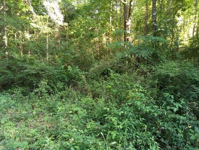 000 Fortenberry Cir, McComb, MS 39648 - photo 4