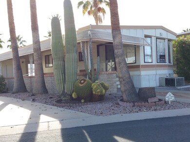 No maintenance Landscaping