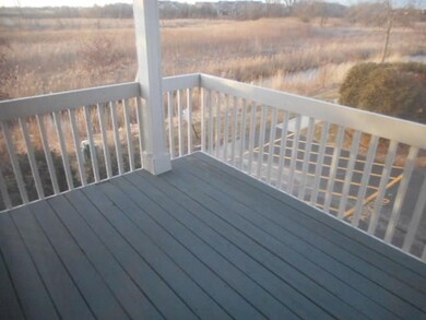 1081 Crane Pointe, Elgin, IL 60124 - photo 5