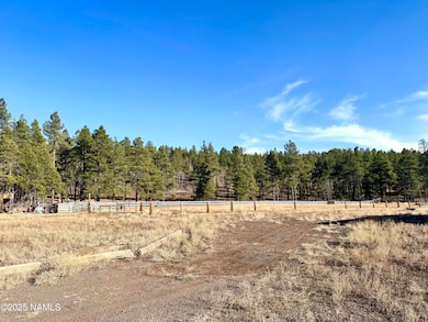 12405 Forest Service 772, Flagstaff, AZ 86001 - photo 2