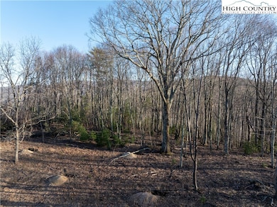 WR-41 Clouds Rest Dr, Beech Mountain, NC 28604 - photo 3