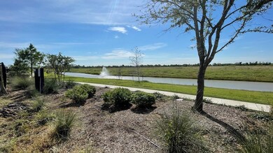 backyard view