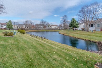 Water View