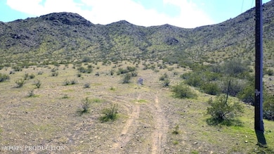 0 S 45th Dr unit 6955614, Laveen Village, AZ 85339 - photo 4