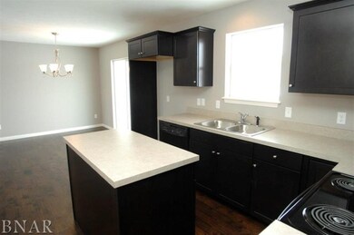 125 N Gadwall Ln, Downs, IL 61736 - photo 3