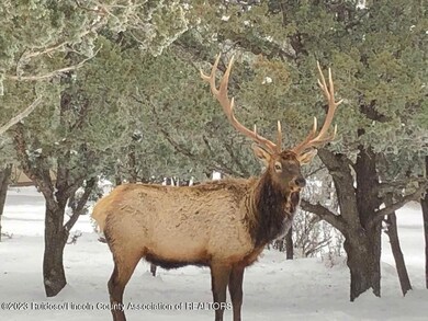 Enchanted Forest visitors6
