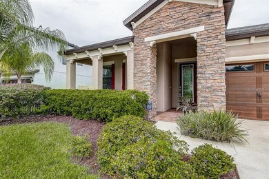 Stone Front Elevation