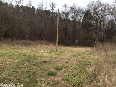 2335 Polk Road 61, Mena, AR 71953 - photo 4