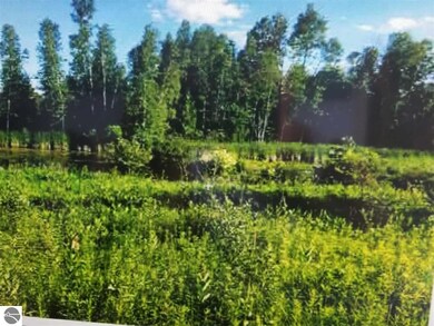 7314 Curtis Rd, Hale, MI 48739 - photo 4