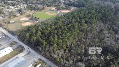 0 Baldwin Rd unit 2 374664, Satsuma, AL 36572 - photo 5