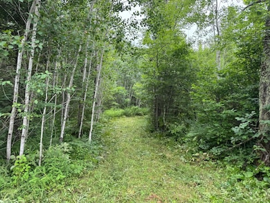 W4514 Cth C, Merrill, WI 54452 - photo 2