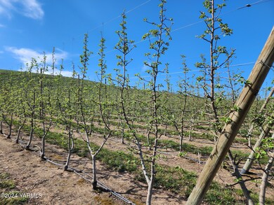 Orchard